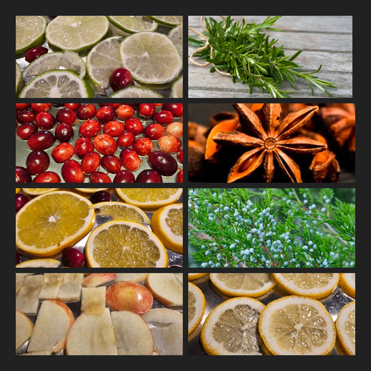 BLACK FRIDAY Seaonsal Magic Simmer Pots